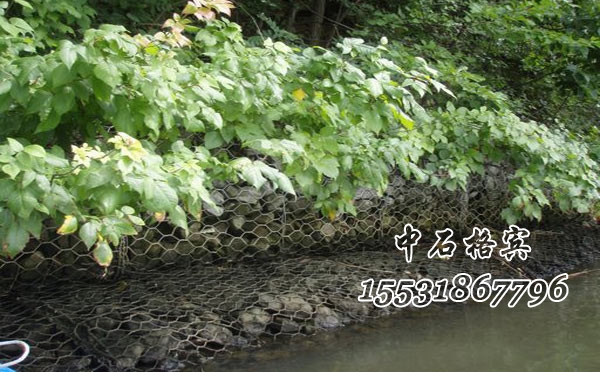 鋅鋁合金格賓網 鋅鋁合金格賓網