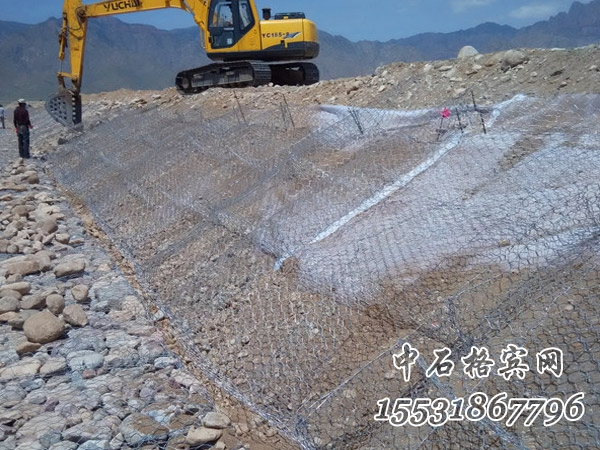 雷諾護(hù)墊 雷諾護(hù)墊